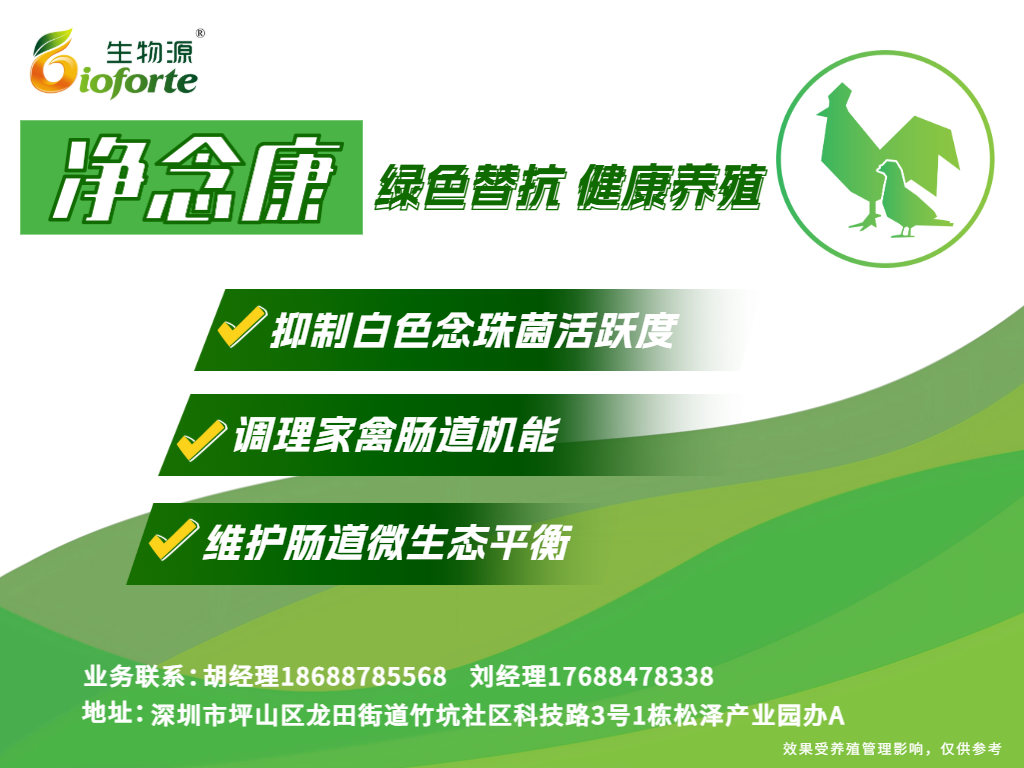 净念康产品海报图.png